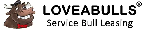 LOVEABULLS® - Service Bull Leasing LOVEABULLS® - Service Bull Leasing